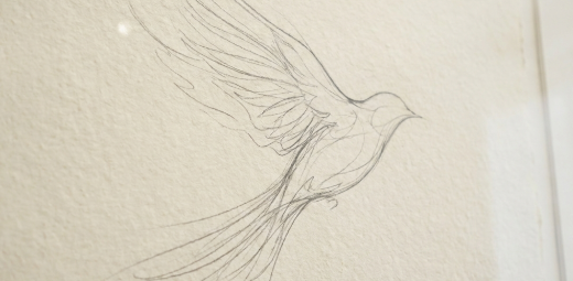 Bird drawing